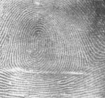 150px-fingerprint_whorl
